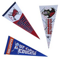 Team Flag/ Pennant (61cmx23cm)